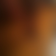 koneserkawydziaranych