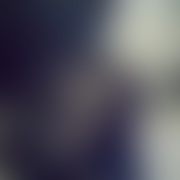 rollercoastereveryday