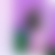 ponetnezlowcielekobiety