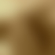 zasponsorujmojadziewczyne